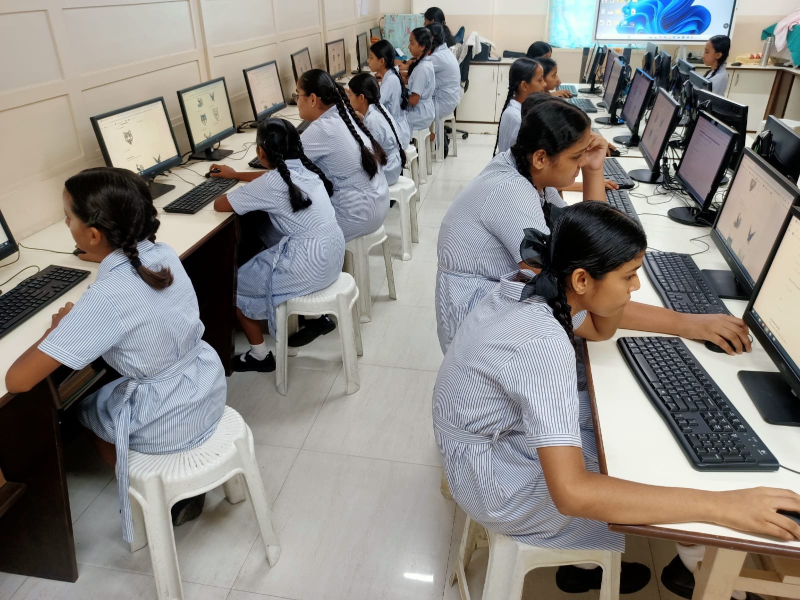 Elections for IIMUN Council 2025–2026